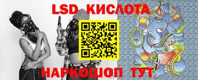 ГАЛЛЮЦИНОГЕННЫЕ ГРИБЫ Кингисепп